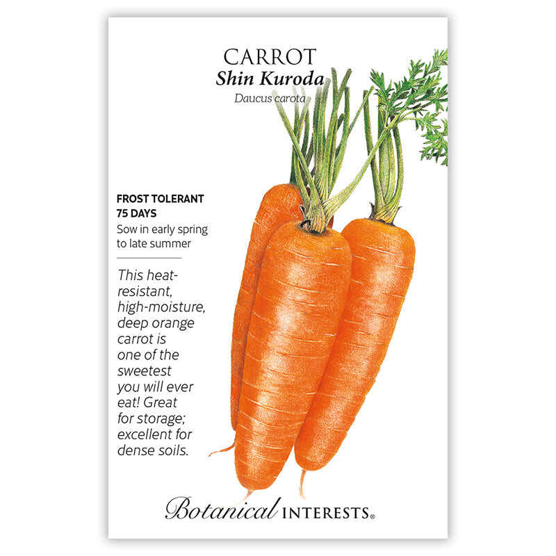 Seed packet for Shin Kuroda Carrot featuring an illustration of three thick, deep orange carrots with leafy green tops, alongside text noting it is frost tolerant, ready in 75 days, and describing the sweet, heat-resistant variety suited for storage and dense soils.