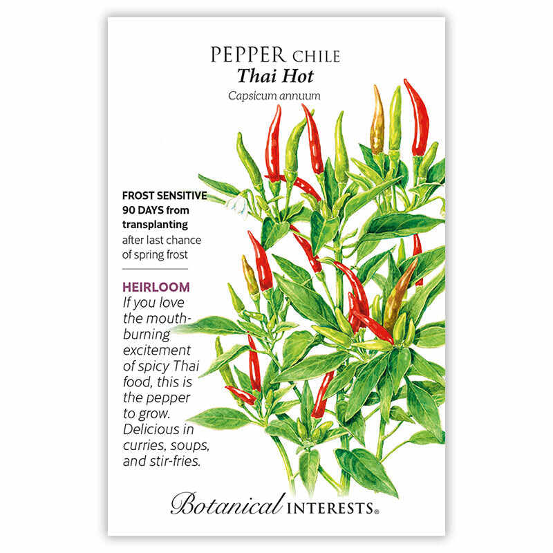 Seed packet for Pepper Chile Thai Hot with illustrations and growing information.