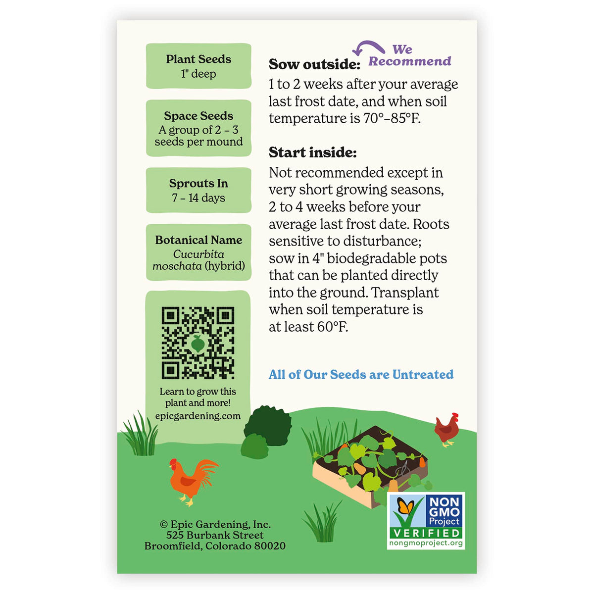 Back of an Epic Gardening Honeybaby Winter Squash seed packet showing planting instructions, sowing guidelines, a QR code, and a garden bed illustration on a plain white background.