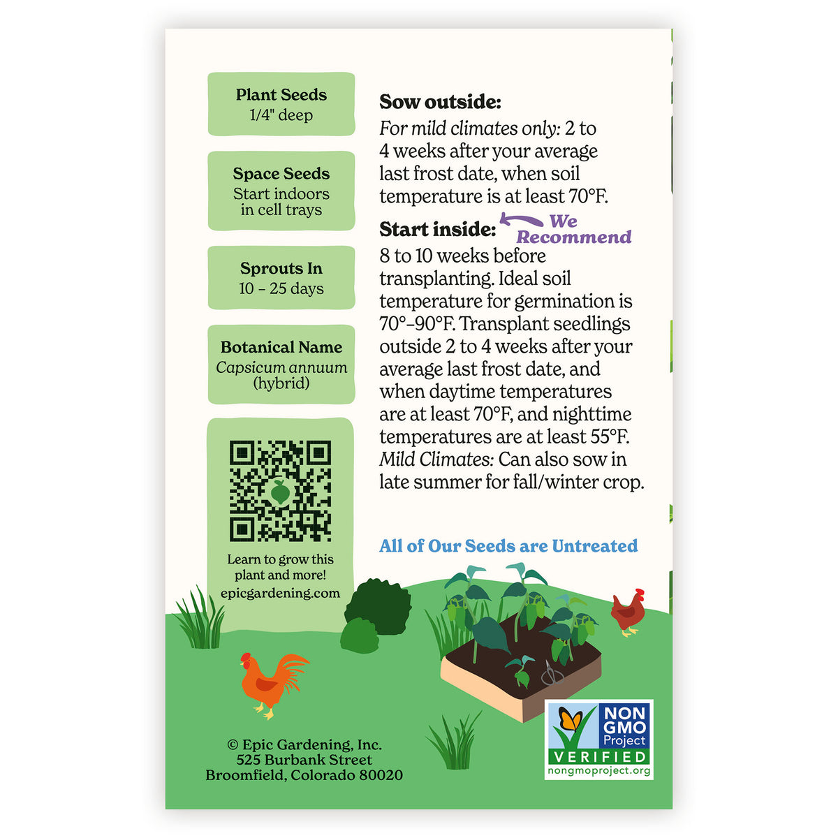 Ancho Ranchero Chile Pepper seed packet with gardening instructions and plant information on a white background