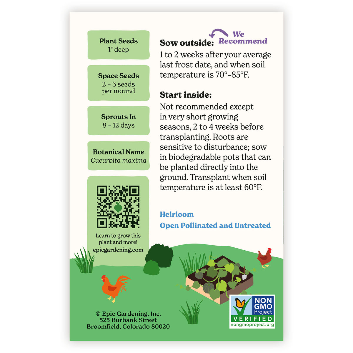 Kabocha Winter Squash seed packet with gardening instructions and QR code on a white background