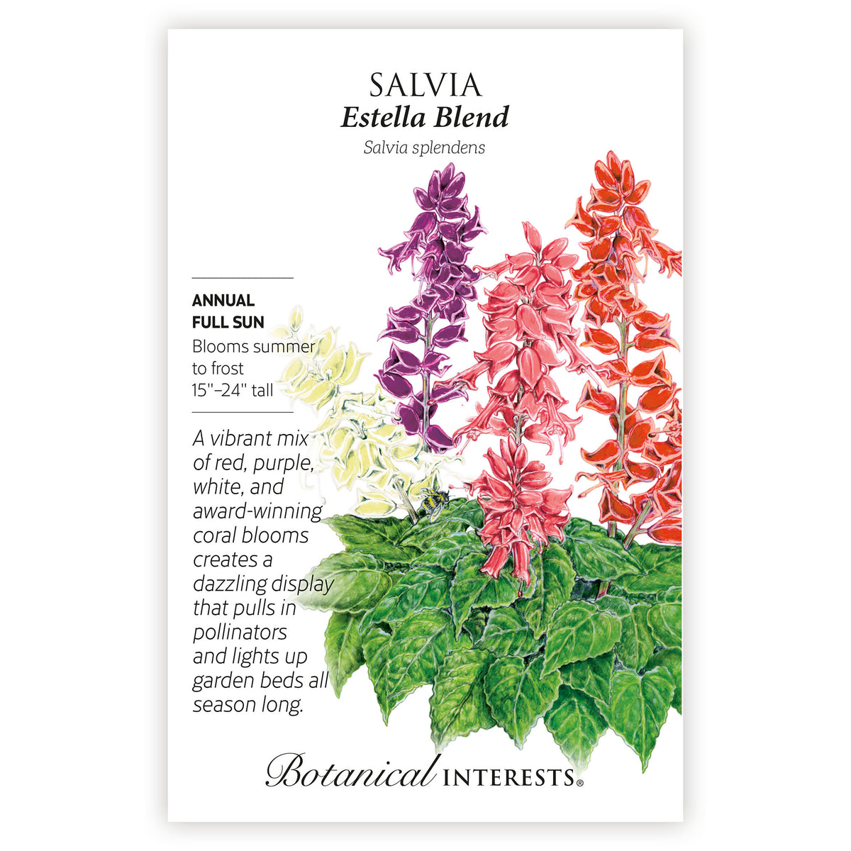Salvia Estella Blend seed packet with colorful salvia flowers and botanical information.