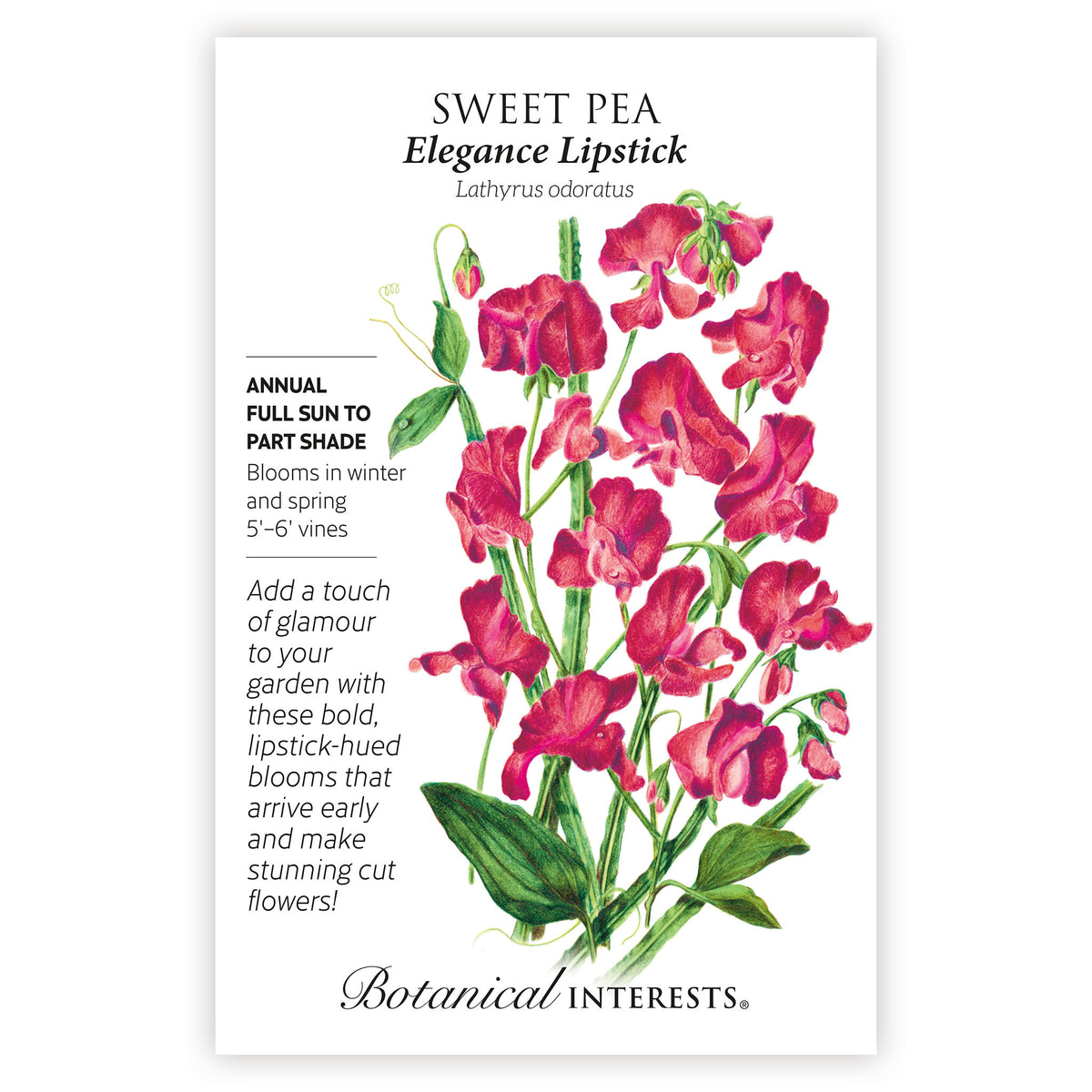Elegance Lipstick Sweet Pea plant seed packet with botanical details on a white background