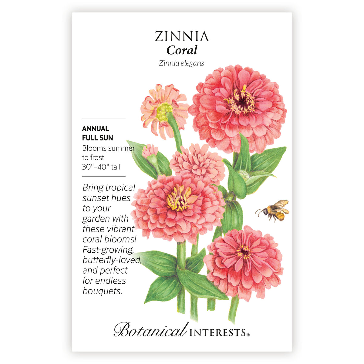 Coral Zinnia seed packet with pink flowers and botanical details on a white background
