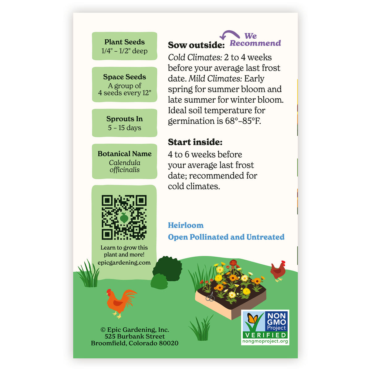Fiesta Calendula Gitana seed packet with plant care instructions and QR code on a white background