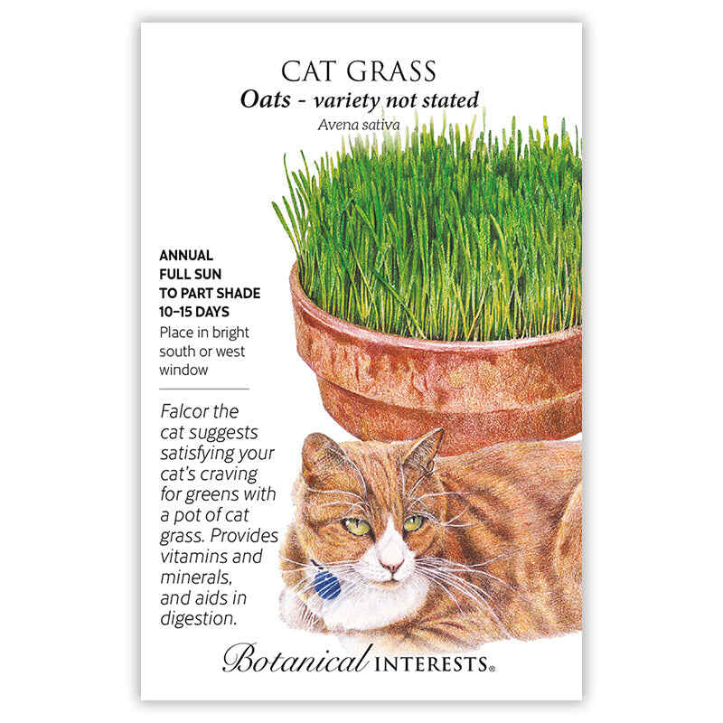 Front of an organic Botanical Interests seed packet for Cat Grass Seeds displaying plant characteristics and a botanical illustration of lush green cat grass growing in a terracotta pot above an orange tabby cat.