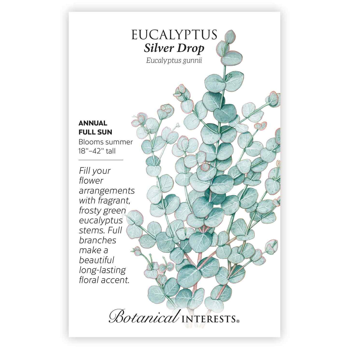 Seed packet for Eucalyptus Silver Drop Seeds with growing information, plant description, and a botanical illustration of leafy silver drop eucalyptus stems.