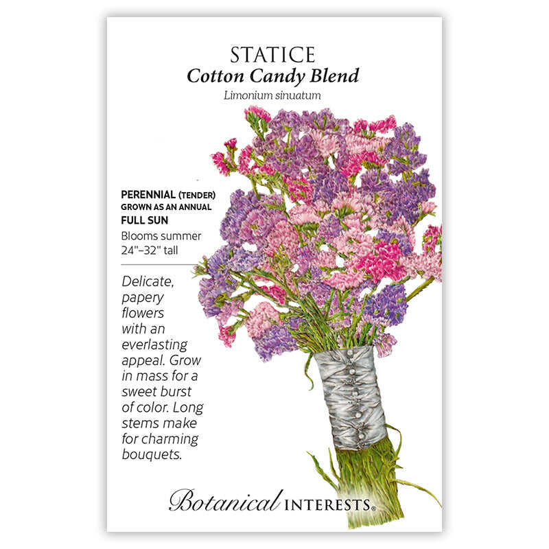 Seed packet for Cotton Candy Blend Statice illustrating a ribbon-tied bouquet of papery pink and purple flowers on long green stems, with text noting it's a full-sun perennial grown as an annual, blooming summer at 24–32 inches tall.