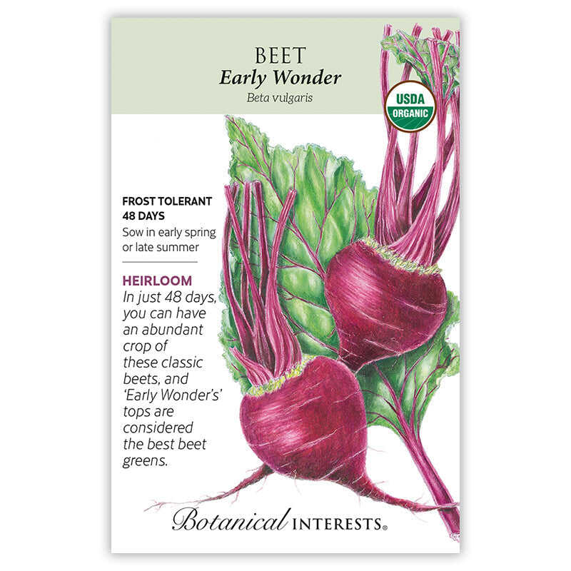 Seed packet for 'Beet Early Wonder' with illustrations of beets and botanical information on a white background