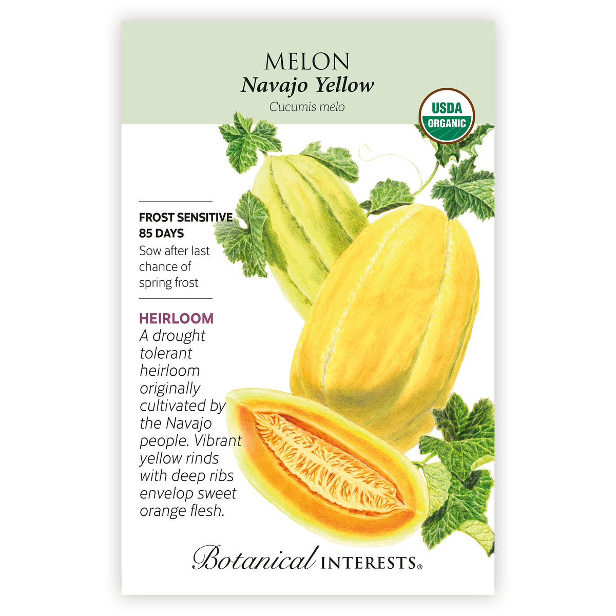 Navajo Yellow Cantaloupe/Muskmelon Melon seed packet with illustrations and botanical information.