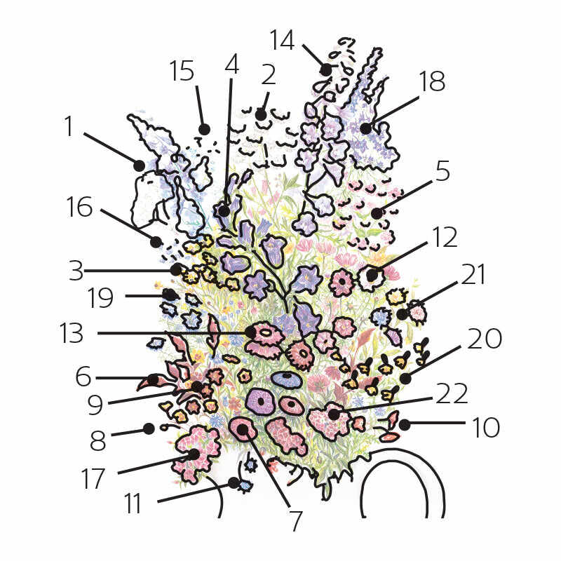 Numbered flower identification diagram for Grandmother's Cut Flower Garden Flower Mix Seeds.