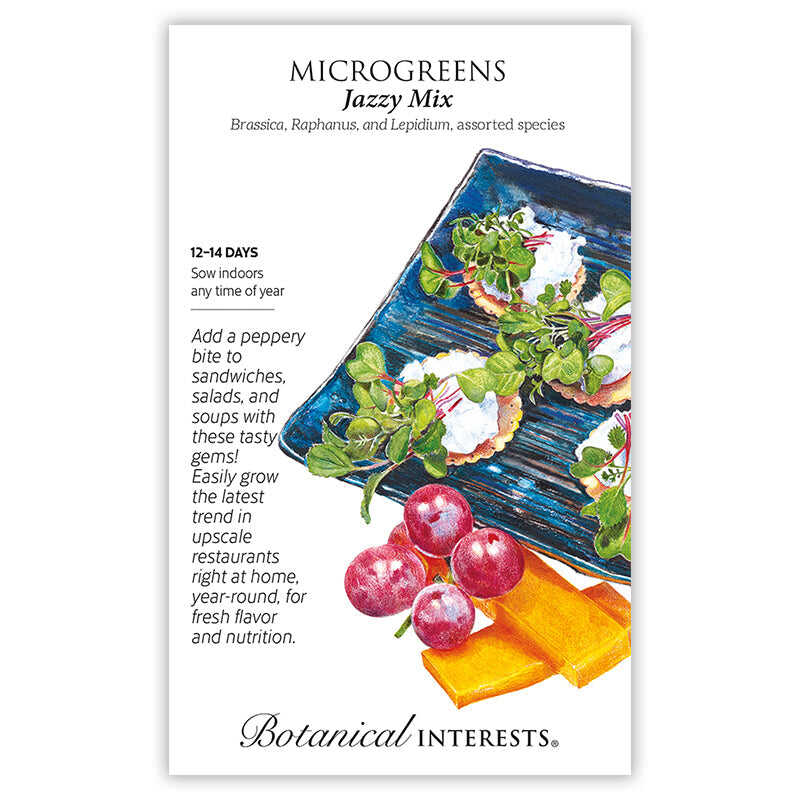 Seed packet for Botanical Interests Jazzy Mix Microgreens, illustrated with crackers topped with cheese and pink-stemmed microgreens on a blue plate alongside grapes and cheddar, with text noting 12-14 day sowing and describing the peppery flavor for sandwiches, salads, and soups.