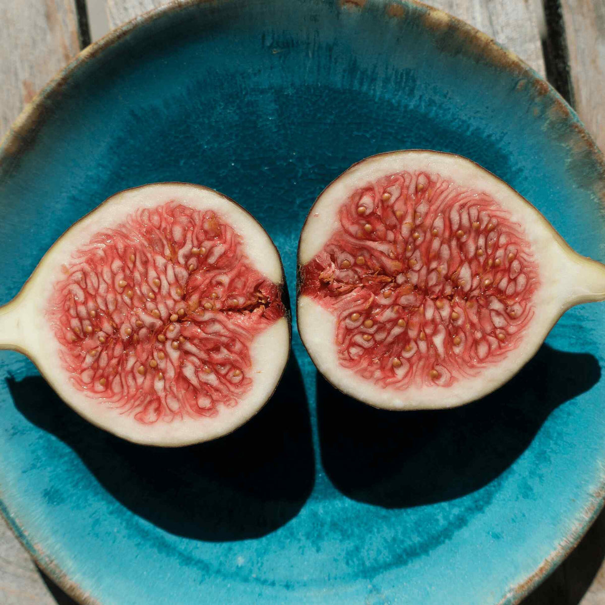 Two halves of a fresh, ripe Brown Turkey Fig showing bright pinkish-red interior seed flesh, served on a textured blue ceramic plate.