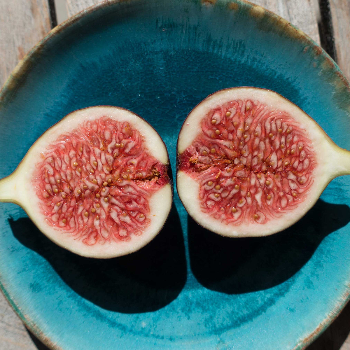 Two sliced halves of a fresh Brown Turkey fig showing pinkish-red seed pulp on a blue plate.