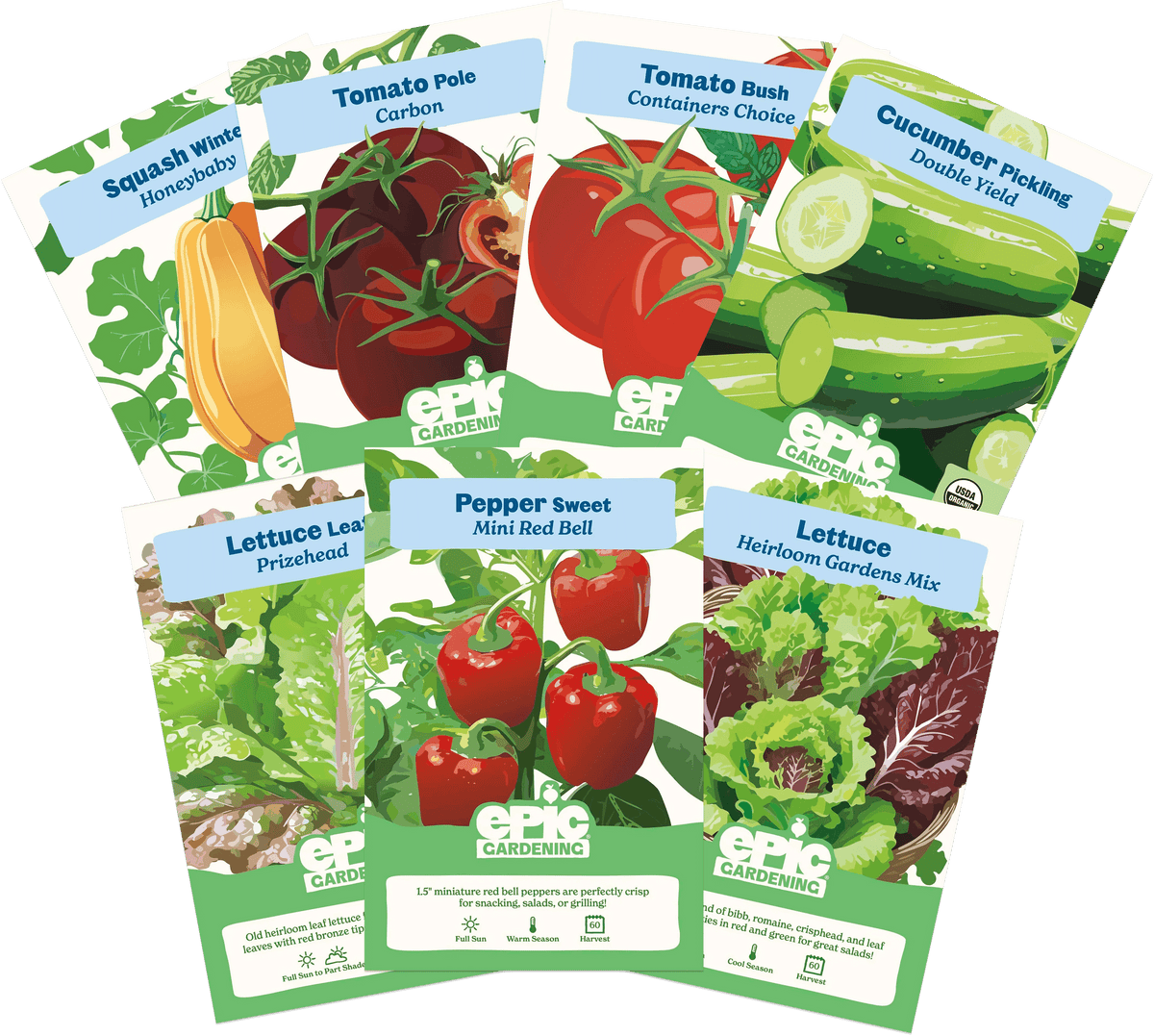 Collection of Epic Gardening vegetable seed packets including Honeybaby Winter Squash, Carbon Tomato Pole, Conatiners Choice Tomato Bush, Double Yield Cucumber Pickling, Prizehead Lettuce Leaf, Mini Red Bell Pepper Sweet, and Lettuce Heirloom Garden Mix on a white background