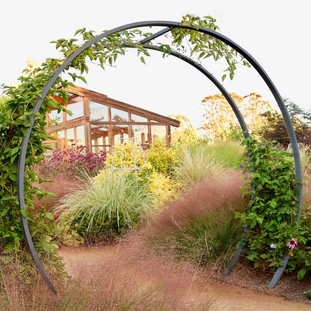 Charcoal circular metal Gracie Modern Arbor forming a garden archway over a path, with a wooden greenhouse in the background,