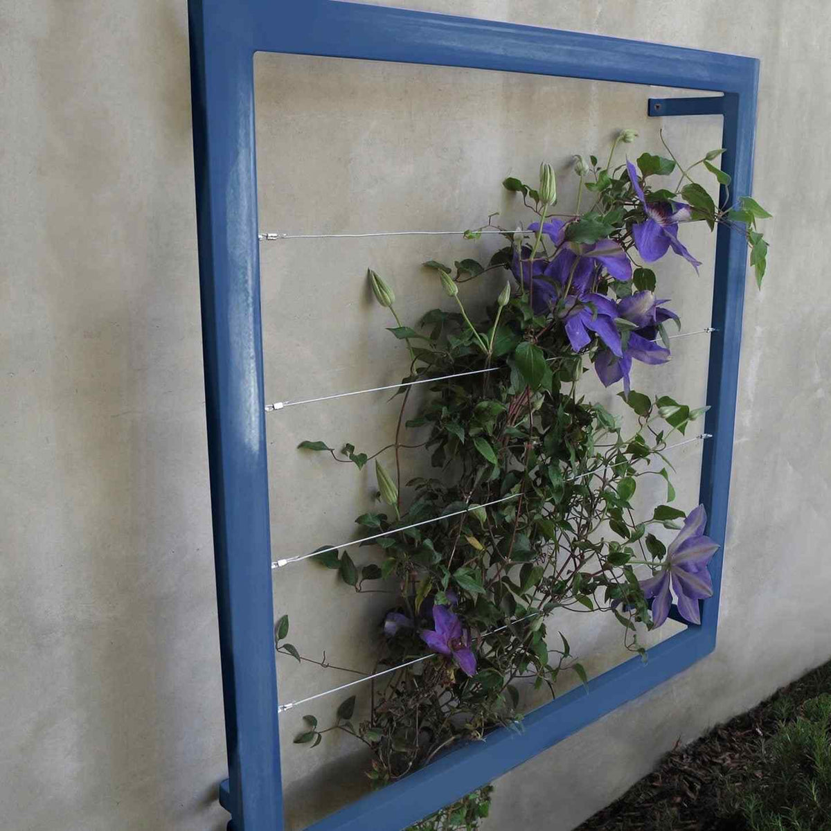 Blue square metal Ina Wall Trellis mounted on a gray wall with purple clematis flowers climbing through the wire grid