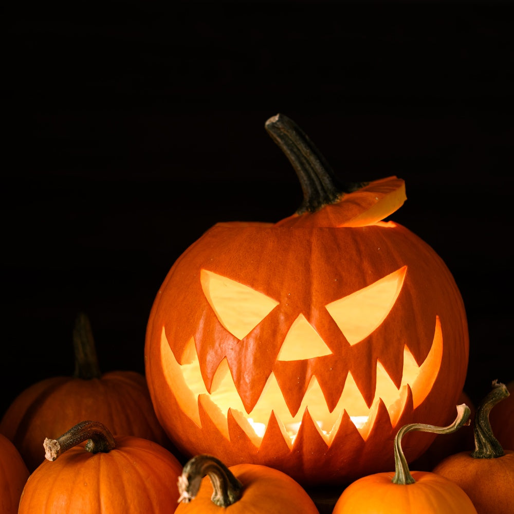 Carved jack-o'-lantern pumpkin with a menacing toothy grin glowing from an internal candle, surrounded by smaller uncarved orange pumpkins against a black background.