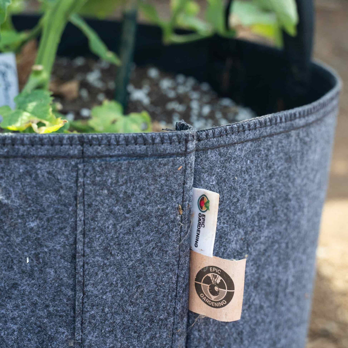 Close-up of a grey fabric Epic Gardening grow bag with reinforced stitched seams and a branded label tag, filled with perlite-flecked soil and young leafy seedlings growing inside.