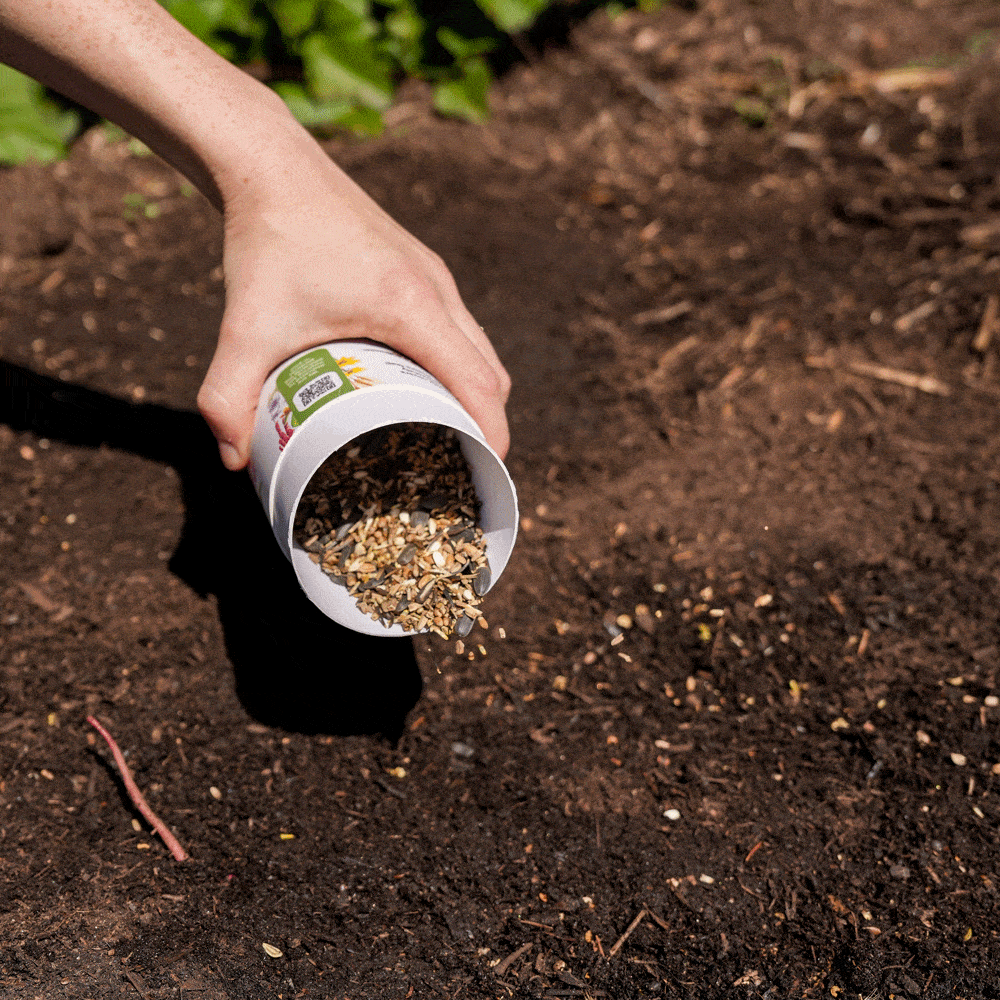 Songbird Delight Flower Mix Seed Shaker being spread on soil