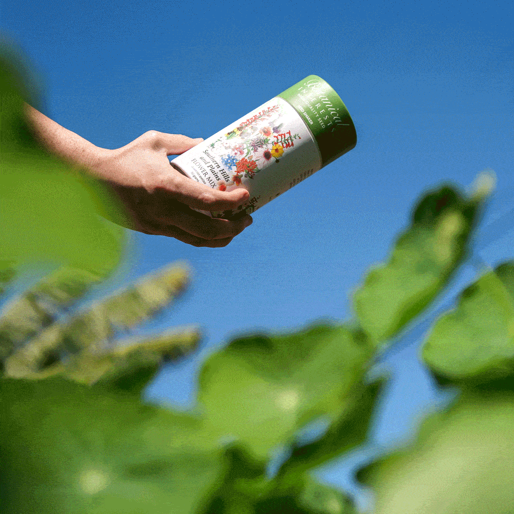 GIF of Southern Hills and Plains Flower Mix Seed Shaker being opened to spread the seeds on the ground.