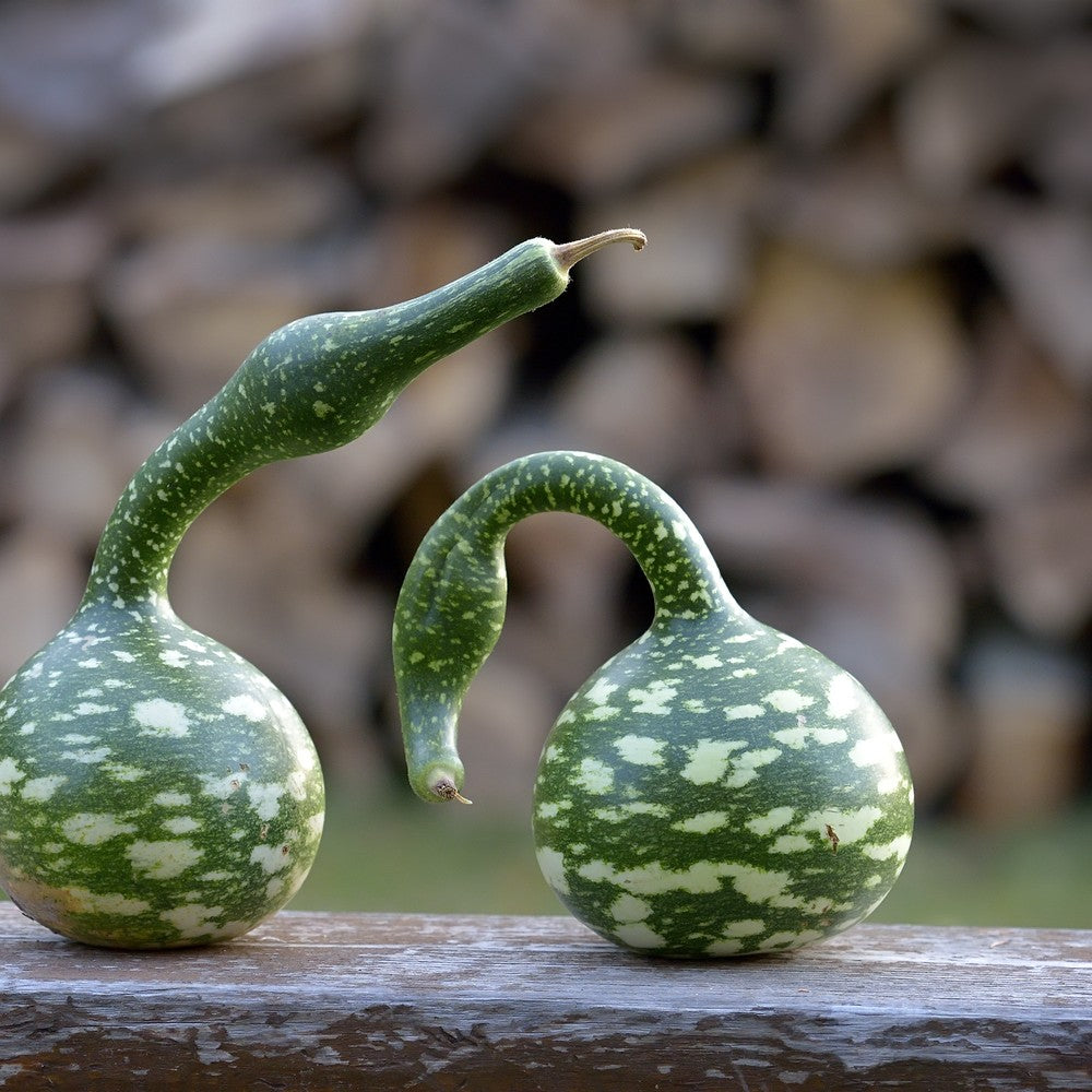 Two speckled swan gourds with round green-and-cream mottled bodies and long curving necks, one arching upward and one bent like a handle, resting on a weathered wooden rail against a blurred log-pile backdrop.