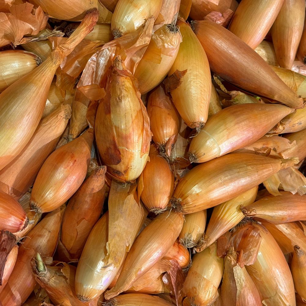 Close-up of Zebrune shallots piled together, showing their elongated torpedo shape with coppery-pink papery skins and pale gold undertones.