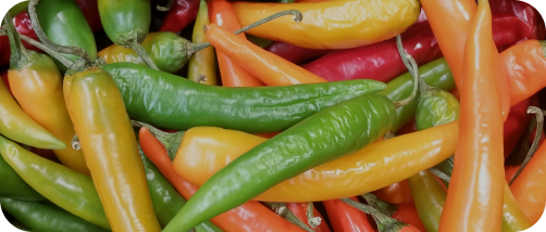 450+ Peppers