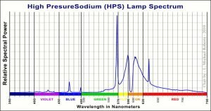 Color Spectrum of Average HPS Light