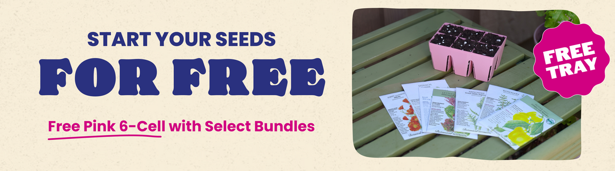 Seed Bundles