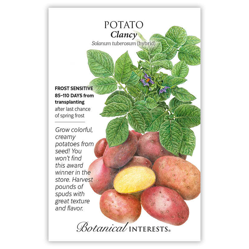 Seed packet for Potato Clancy with illustrations of potatoes and plant leaves, featuring botanical information as well.