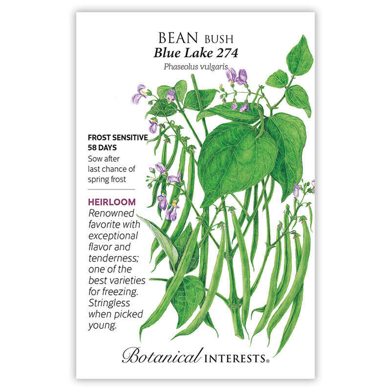 Front of an organic Botanical Interests seed packet for Blue Lake 274 Bush Bean Seeds displaying heirloom description and a botanical illustration of green bean vines, hanging pods, and small purple blossoms.