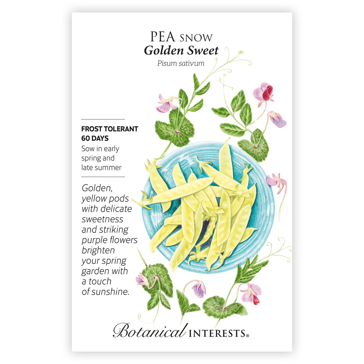 Seed packet for 'Pea Snow Golden Sweet' with illustrations of peas and plants, with botanical information, on a white background.