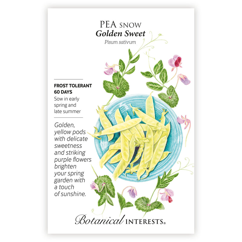Seed packet for 'Pea Snow Golden Sweet' with illustrations of peas and plants, with botanical information, on a white background.