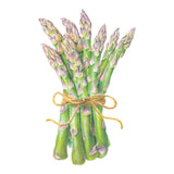 Bunch of green Spartacus Asparagus tied with yellow string on a white background