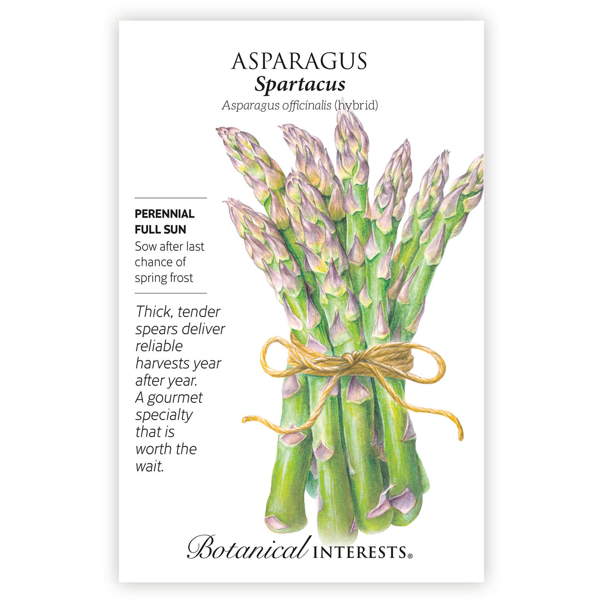 Seed packet for Asparagus Spartacus with illustration of asparagus and botanical information.