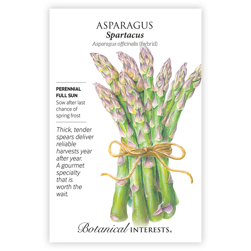 Seed packet for Asparagus Spartacus with illustration of asparagus and botanical information.