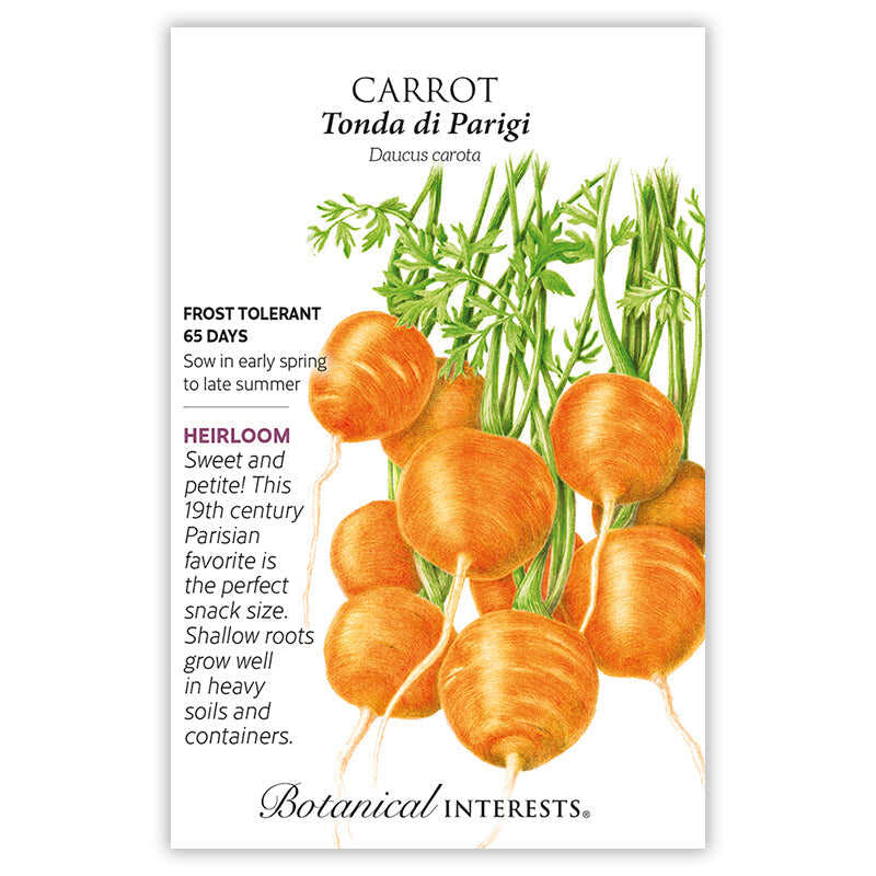 Seed packet for 'Carrot Tonda di Parigi' with illustrations and botanical information on a white background