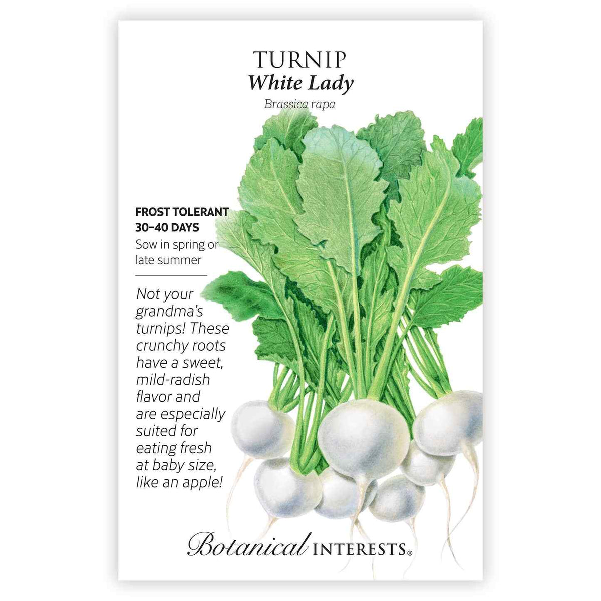 Turnip White Lady seed packet with botanical illustration and information