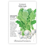 Turnip White Lady seed packet with botanical illustration and information