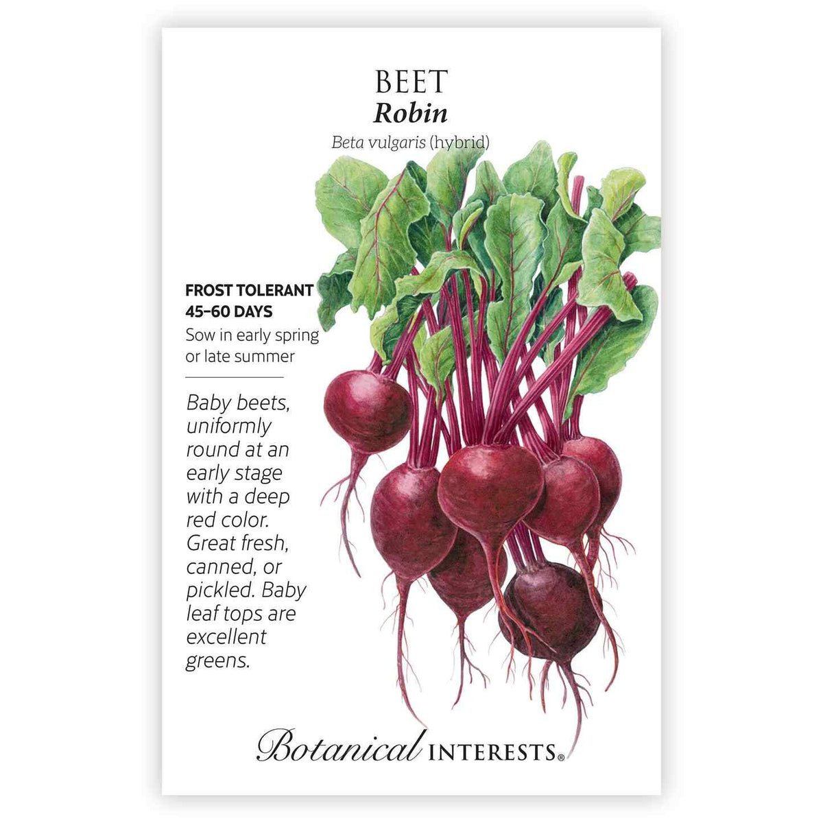 Botanical Interests seed packet for Robin Beet featuring an illustration of deep-red, round baby beets with leafy green tops and pink-veined stems, alongside text noting frost tolerance, a 45–60 day growing period, and sowing in early spring or late summer.