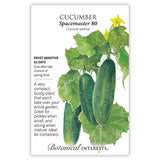Seed packet for Spacemaster 80 Cucumber illustrating dark green, bumpy-skinned fruit hanging among broad leaves with curling tendrils and yellow blossoms, plus printed text noting it's frost sensitive, 62 days to maturity, compact and bushy, suited for pickling, slicing, and containers.