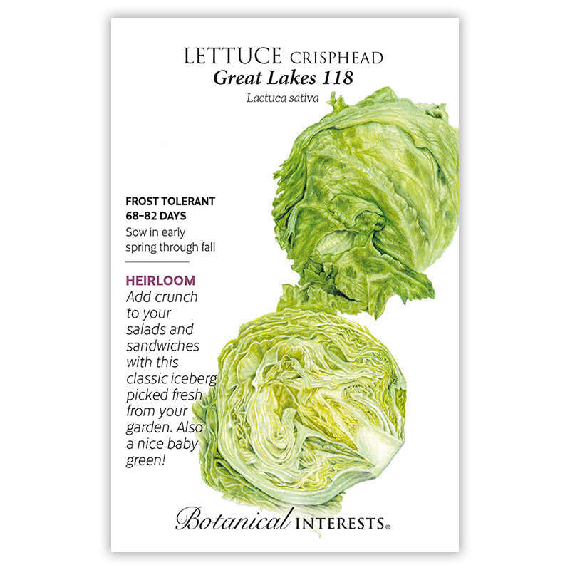 Seed packet for Lettuce Crisphead Great Lakes 118 with growing information.