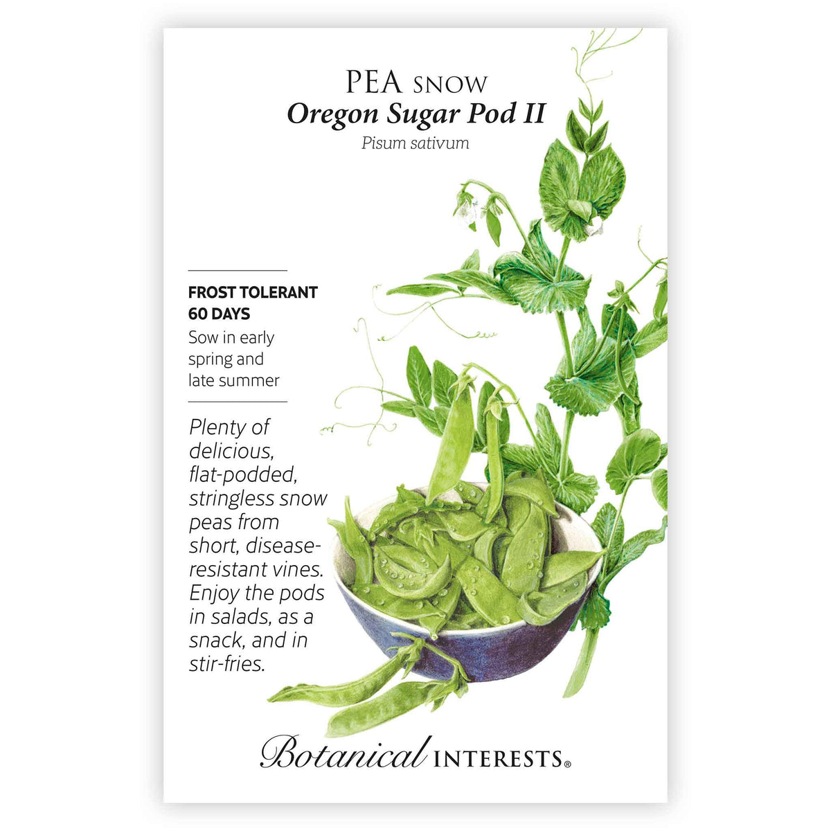 Front of a Botanical Interests seed packet for Oregon Sugar Pod II Snow Pea Seeds featuring plant details and a detailed botanical illustration of snow pea vines with pods resting in a blue bowl.