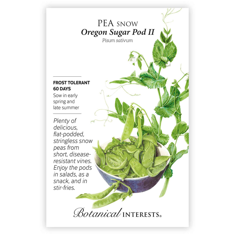 Front of a Botanical Interests seed packet for Oregon Sugar Pod II Snow Pea Seeds featuring plant details and a detailed botanical illustration of snow pea vines with pods resting in a blue bowl.