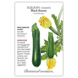 Black Beauty Squash Summer seed packet with botanical information and illustrations of green squash and yellow flowers, labeled 'Black Beauty'.