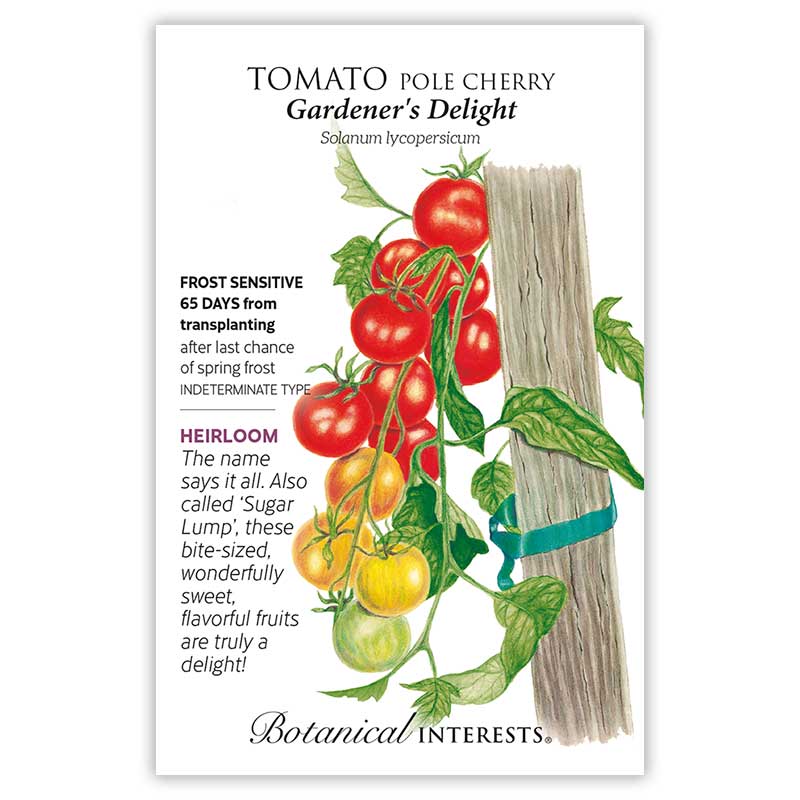 Seed packet for 'Gardener's Delight' cherry pole tomatoes with botanical illustration and information.