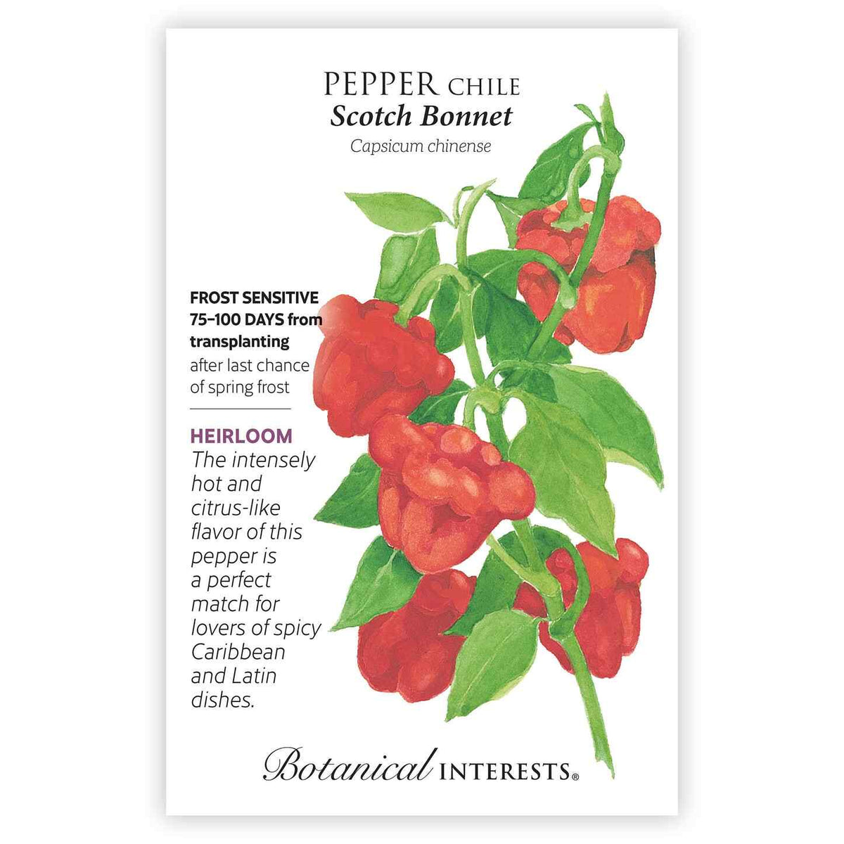 Seed packet for Pepper Chile Scotch Bonnet with illustrations and growing information.