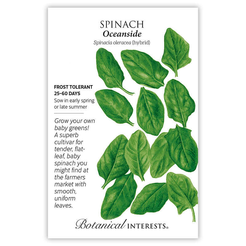 Seed packet for Spinach Oceanside with green leaves and botanical information on a white background