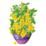 Illustrated bush tomato plant staked in a purple pot, densely covered with clusters of small round yellow cherry tomatoes and green foliage, with a single loose tomato beside the pot.